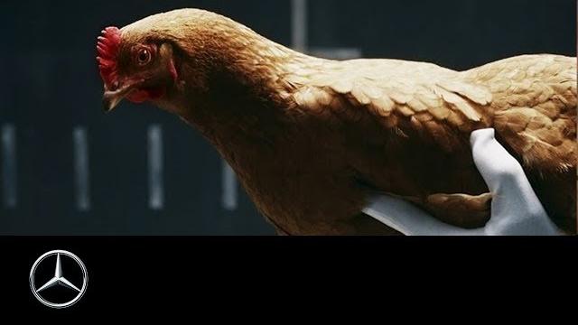 Mercedes-benz “chicken” magic body control tv commercial Mercedes-benz “chicken” magic body control tv commercial