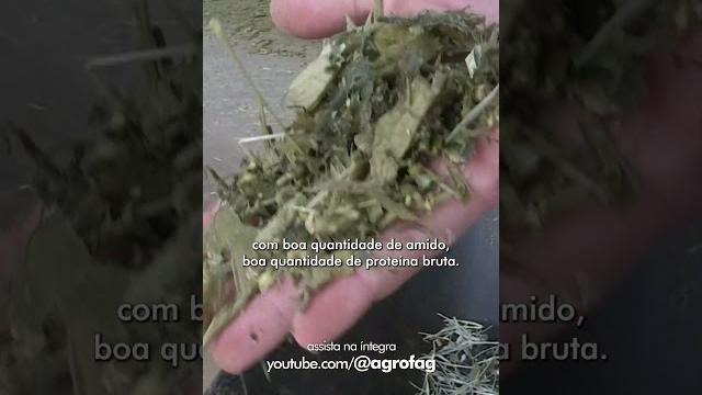 Produção de leite Produção de leite