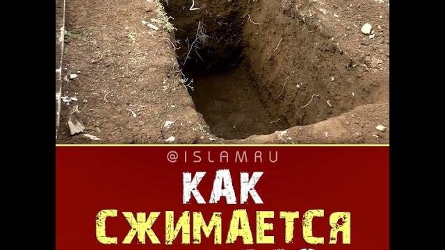 Как сжимается могила? Как сжимается могила?