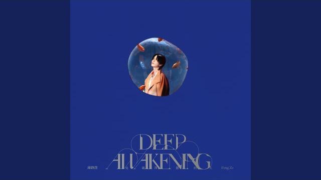 浮木 浮木