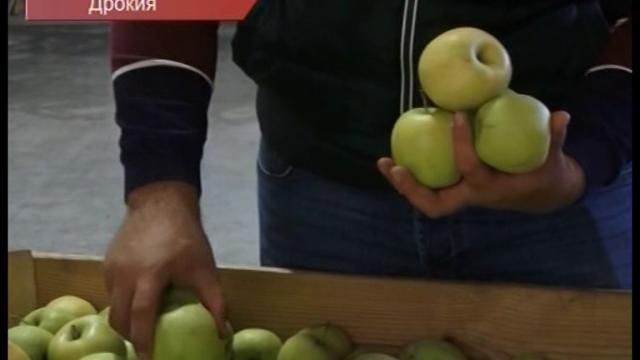 Без доступа на рынки ес дрокия Без доступа на рынки ес дрокия