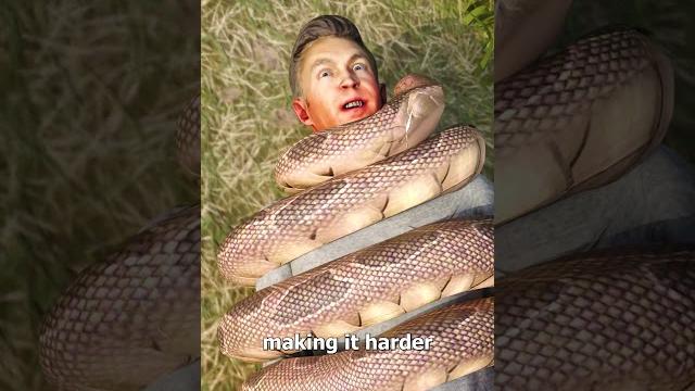 How a snake could choke a human How a snake could choke a human