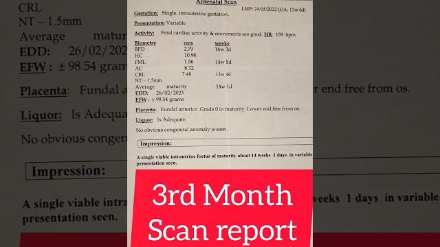 Pregnancy scan report️ #girlbaby #shorts Pregnancy scan report️ #girlbaby #shorts