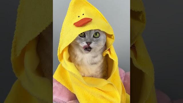 Spa day Spa day