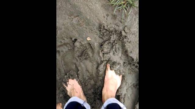 Barefoot in mud 赤腳踩泥 Barefoot in mud 赤腳踩泥