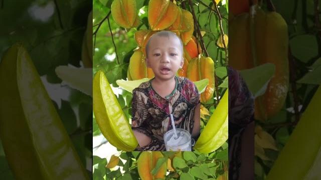#bocil anaknya tante blimbinh#shorts #bocil anaknya tante blimbinh#shorts