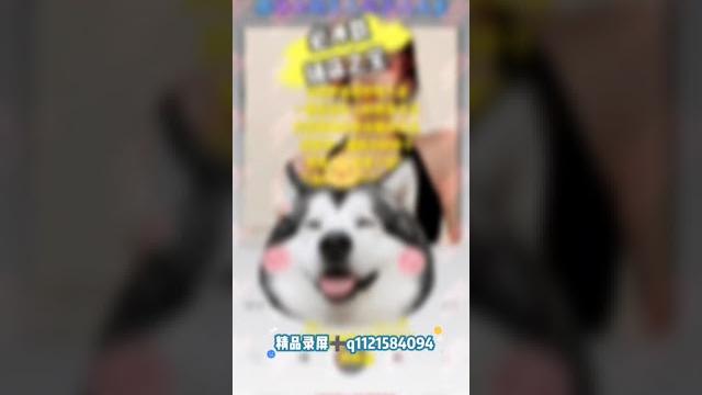 #磕炮 #磕炮录音 #asmr #kp #磕炮 #磕炮录音 #asmr #kp