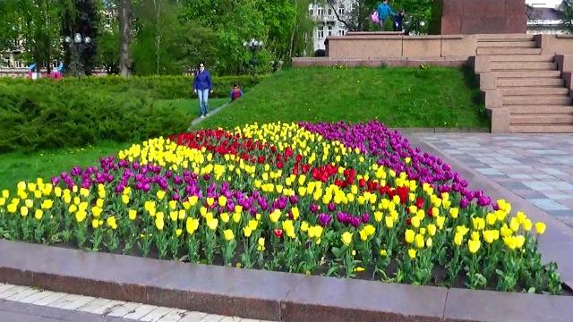 Парки киева и карантин Парки киева и карантин