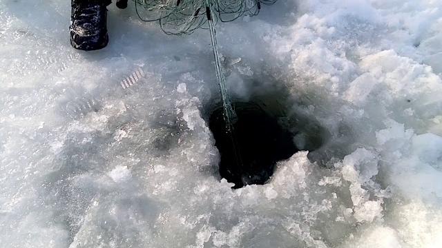 Снимаем сети, антибрак против браконьеров Снимаем сети, антибрак против браконьеров