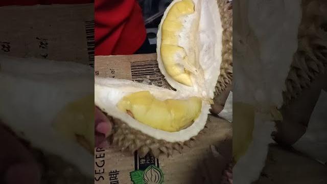 Durian musang king part 2 | kuliner malaysia | Durian musang king part 2 | kuliner malaysia |