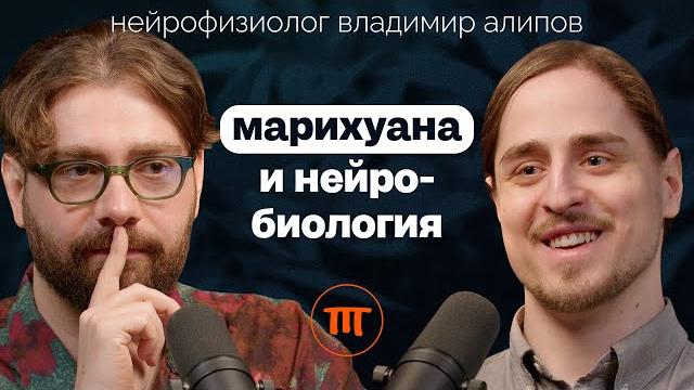 Каннабис/конопля/марихуана: вокруг чего столько споров? нейробиолог владимир алипов Каннабис/конопля/марихуана: вокруг чего столько споров? нейробиолог владимир алипов