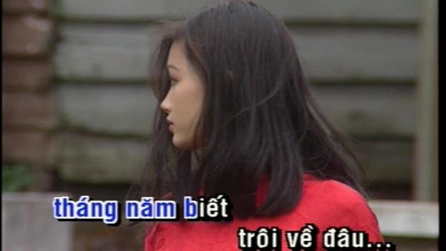 999 doa hong - minh tuyet 999 doa hong - minh tuyet