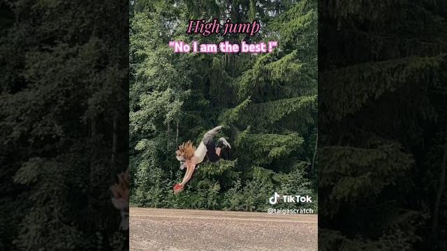 Combination #quadrobics #jump #athlete #sports #otherpaw #tiktok Combination #quadrobics #jump #athlete #sports #otherpaw #tiktok