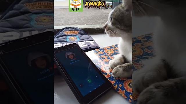 Ayang...ayangku... Ayang...ayangku...