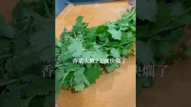 香菜控必收,延長保鮮!#香菜#小知識#實用小技巧 香菜控必收,延長保鮮!#香菜#小知識#實用小技巧