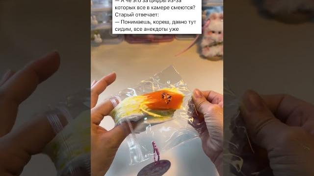 Смешной анекдот #приколы #юмор #анекдоты Смешной анекдот #приколы #юмор #анекдоты