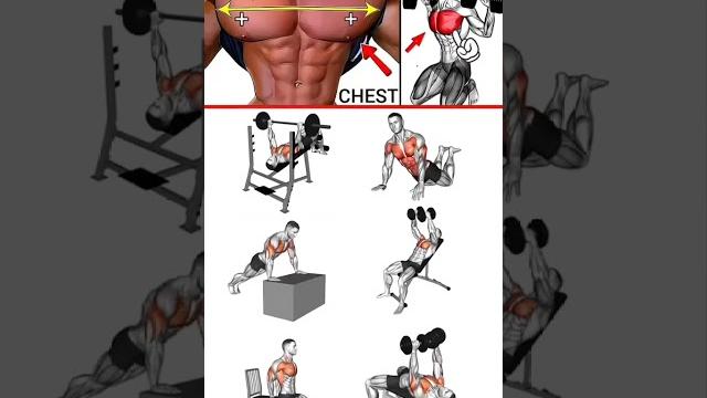 Get perfect chest at home #chestworkout#fitness#workout athome#home#topvideos#interestingvideos Get perfect chest at home #chestworkout#fitness#workout athome#home#topvideos#interestingvideos