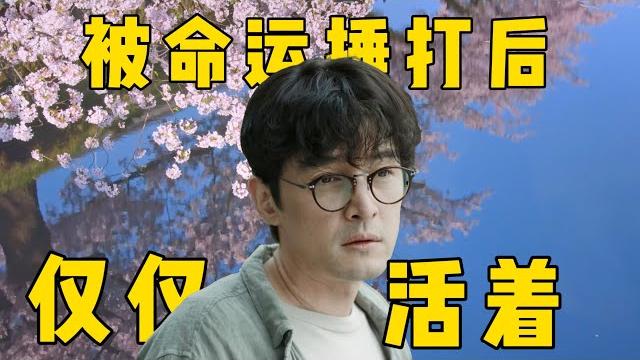 【光影二三事】阿月频道成长史分享,根据观众回答评论问题,看完你一定不虚此行! 【光影二三事】阿月频道成长史分享,根据观众回答评论问题,看完你一定不虚此行!