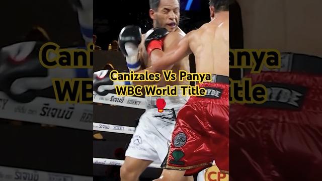 Canizales vs panya wbc world title fight Canizales vs panya wbc world title fight