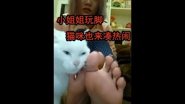 小姐姐玩脚!!我想成为这只猫咪!! 小姐姐玩脚!!我想成为这只猫咪!!