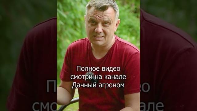 Баковая смесь готовый рецепт Баковая смесь готовый рецепт