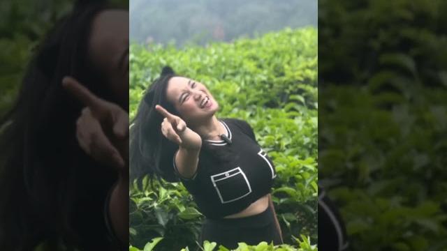 Virly virginia dan chacha di kebun teh Virly virginia dan chacha di kebun teh