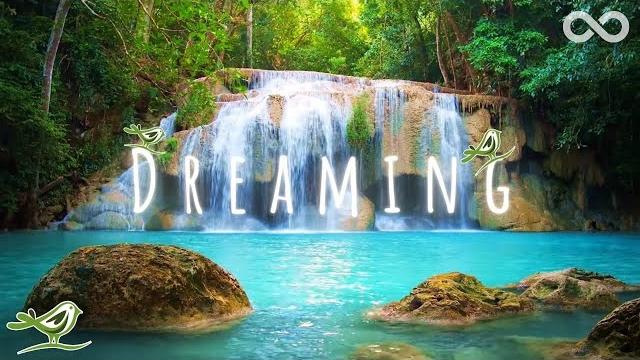 Dreaming • relaxing zen music with water sounds for sleep, spa & meditation Dreaming • relaxing zen music with water sounds for sleep, spa & meditation