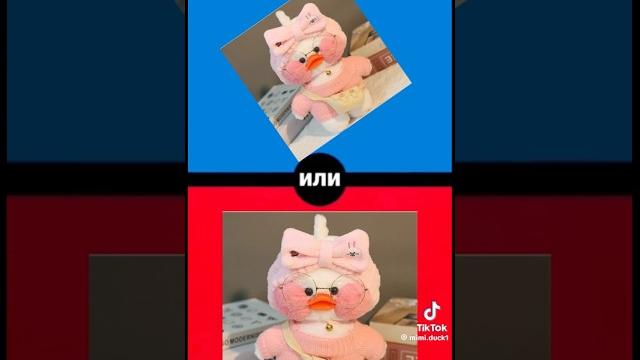 Что ты выберешь уточка лалафанфан или?! распаковка посылки для утки #лалафанфан #duck #katy #утя Что ты выберешь уточка лалафанфан или?! распаковка посылки для утки #лалафанфан #duck #katy #утя