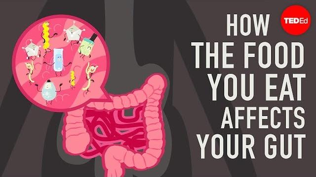 How the food you eat affects your gut - shilpa ravella How the food you eat affects your gut - shilpa ravella