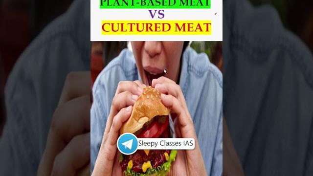 Plant based meat vs cultured meat Plant based meat vs cultured meat