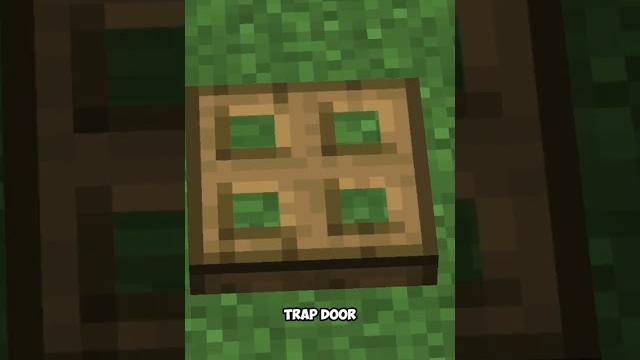 Oak trapdoor Oak trapdoor