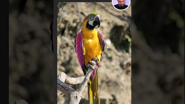 Truco para cambiar color rápidamente #photoshop Truco para cambiar color rápidamente #photoshop