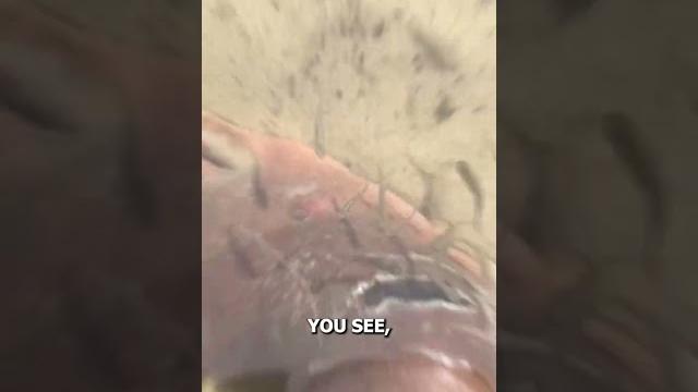Why you should never get fish pedicures? Why you should never get fish pedicures?