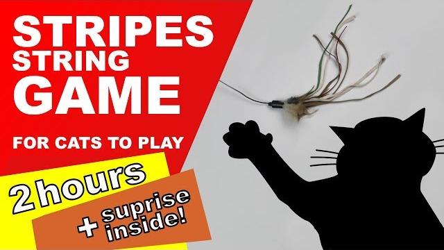 Cat games: 2 hours! (surprise inside) Cat games: 2 hours! (surprise inside)