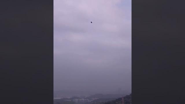 「昨夜星辰」搞笑版 「昨夜星辰」搞笑版