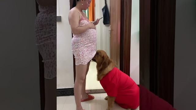 干什么呀亲爱的#记录真实生活 #孕妇 #夫妻 #旺夫女人 #萌宠出道计划 干什么呀亲爱的#记录真实生活 #孕妇 #夫妻 #旺夫女人 #萌宠出道计划