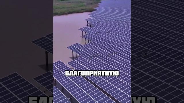Солнечные батареи на воде #интересное #факты Солнечные батареи на воде #интересное #факты