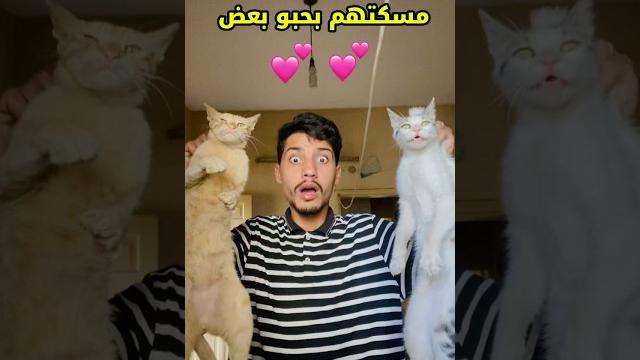 روتيني اليومي(4)‼️ روتيني اليومي(4)‼️