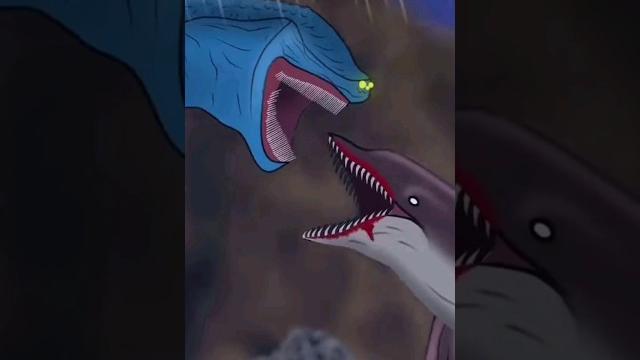 El gran maja vs the dark dolphin El gran maja vs the dark dolphin