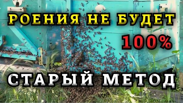 Забытый противороевой метод. причины роения пчелосемей на пасеке .как избежать роения пчел Забытый противороевой метод. причины роения пчелосемей на пасеке .как избежать роения пчел
