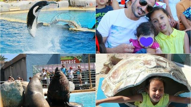 Vlog | marineland en famille + baby balqis ! Vlog | marineland en famille + baby balqis !