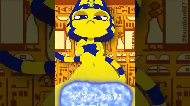 Why, why did i create this (ankha meme) #shorts Why, why did i create this (ankha meme) #shorts