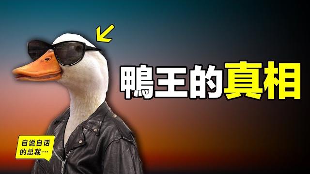 鴨:一鴨戰四虎?彈射胜航母?鴨子的真相,也許超乎你的想象……|自說自話的總裁 鴨:一鴨戰四虎?彈射胜航母?鴨子的真相,也許超乎你的想象……|自說自話的總裁