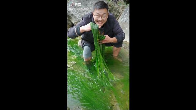 中国では藻をお菓子にして食べるそうです‥ 中国では藻をお菓子にして食べるそうです‥