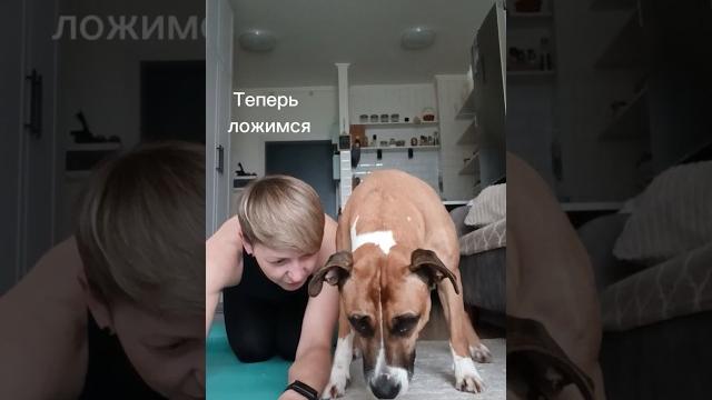 Веселые у меня занятия) #ханна #наспорте #жизньссобакой #забавныеживотные #улыбнисьснами #собачки Веселые у меня занятия) #ханна #наспорте #жизньссобакой #забавныеживотные #улыбнисьснами #собачки