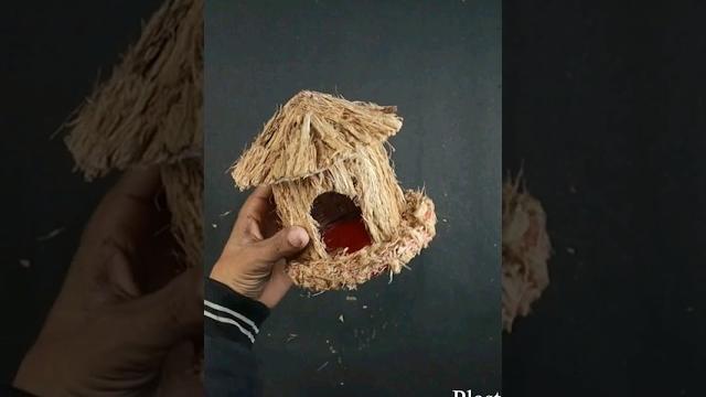 Waste coconut husks recycle #shorts #diy #viral #youtubeshorts #trending #crafts #homedecor Waste coconut husks recycle #shorts #diy #viral #youtubeshorts #trending #crafts #homedecor