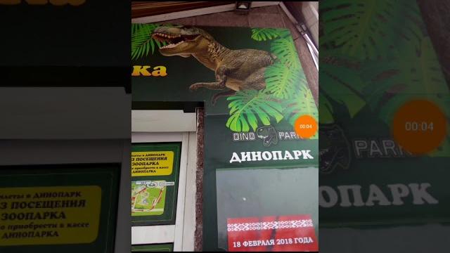 Настоящие живые драконы в реальной жизни Настоящие живые драконы в реальной жизни