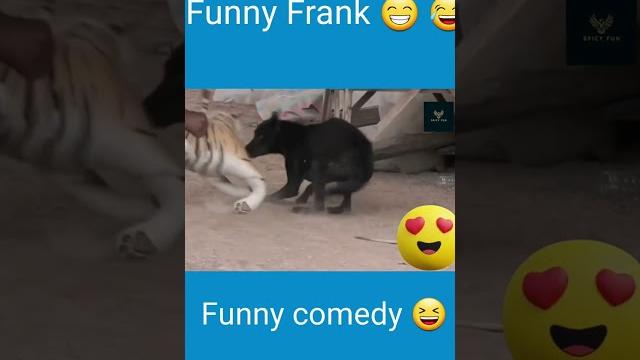 Lion vs dog prank video || funny comedy video || frank video #reels #trending #viral #shorts video Lion vs dog prank video || funny comedy video || frank video #reels #trending #viral #shorts video
