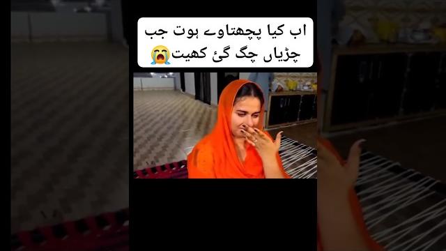 Alizeh sehar viral scandal - tiktokeraliza sehar ki video leak - aliza sehar kivideo kisne leak ki Alizeh sehar viral scandal - tiktokeraliza sehar ki video leak - aliza sehar kivideo kisne leak ki