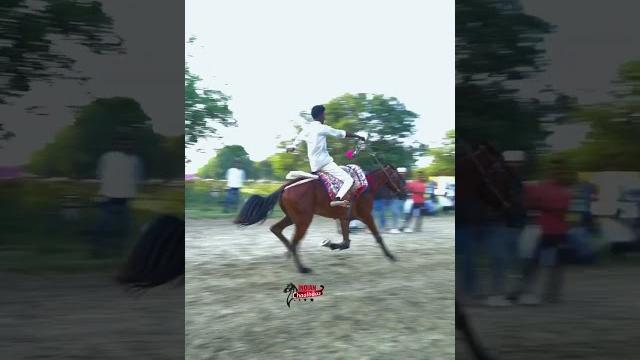 #bhadrihorserace2023#bhadrihorserace #bhadrihorserace2023#bhadrihorserace